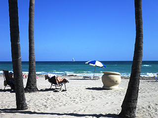 Hollywood Beach Tower Pictures